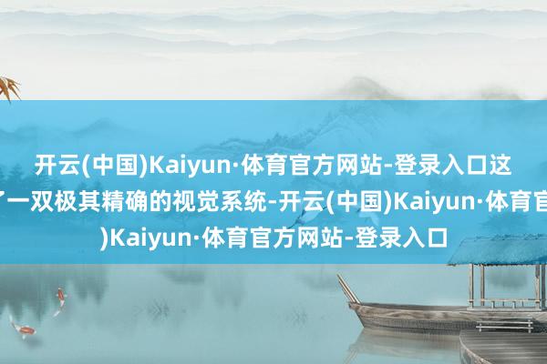 开云(中国)Kaiyun·体育官方网站-登录入口这就像为舵机配备了一双极其精确的视觉系统-开云(中国)Kaiyun·体育官方网站-登录入口