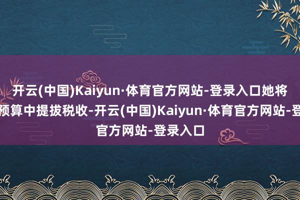 开云(中国)Kaiyun·体育官方网站-登录入口她将鄙人次预算中提拔税收-开云(中国)Kaiyun·体育官方网站-登录入口