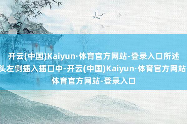 开云(中国)Kaiyun·体育官方网站-登录入口所述第二导电头左侧插入插口中-开云(中国)Kaiyun·体育官方网站-登录入口