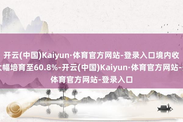 开云(中国)Kaiyun·体育官方网站-登录入口境内收入占比大幅培育至60.8%-开云(中国)Kaiyun·体育官方网站-登录入口
