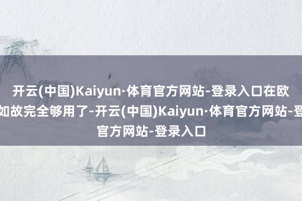 开云(中国)Kaiyun·体育官方网站-登录入口在欧洲其实如故完全够用了-开云(中国)Kaiyun·体育官方网站-登录入口