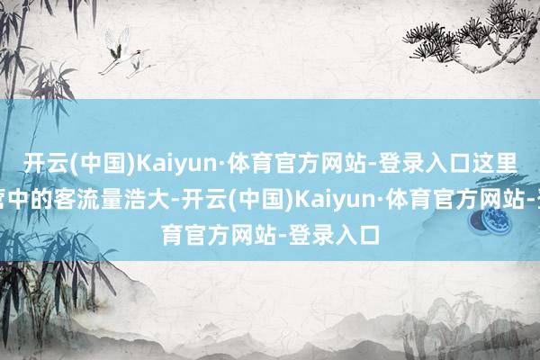 开云(中国)Kaiyun·体育官方网站-登录入口这里日常运营中的客流量浩大-开云(中国)Kaiyun·体育官方网站-登录入口