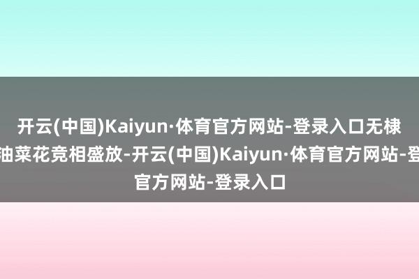 开云(中国)Kaiyun·体育官方网站-登录入口无棣古城内油菜花竞相盛放-开云(中国)Kaiyun·体育官方网站-登录入口