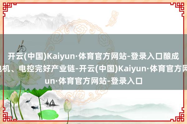 开云(中国)Kaiyun·体育官方网站-登录入口酿成能源电板、电机、电控完好产业链-开云(中国)Kaiyun·体育官方网站-登录入口