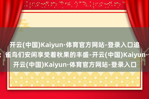 开云(中国)Kaiyun·体育官方网站-登录入口追寻着离阳光更近的地皮;雀鸟们安闲享受着秋果的丰盛-开云(中国)Kaiyun·体育官方网站-登录入口